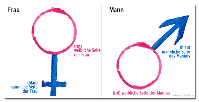 Jeder Mensch ob Mann oder Frau hat eine männliche und eine 