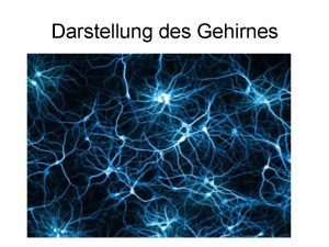 Gehirngitarre-Theorie zur Funktion des Gehirns