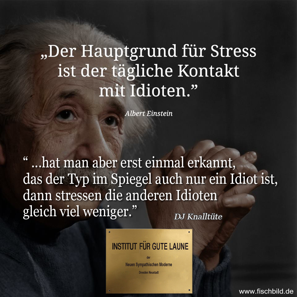 einsteinstress2