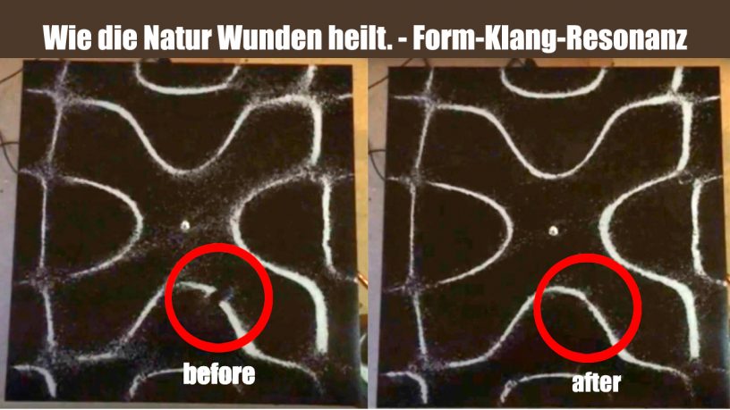 wie die natur mit klang schwingungen musik wunden heilt